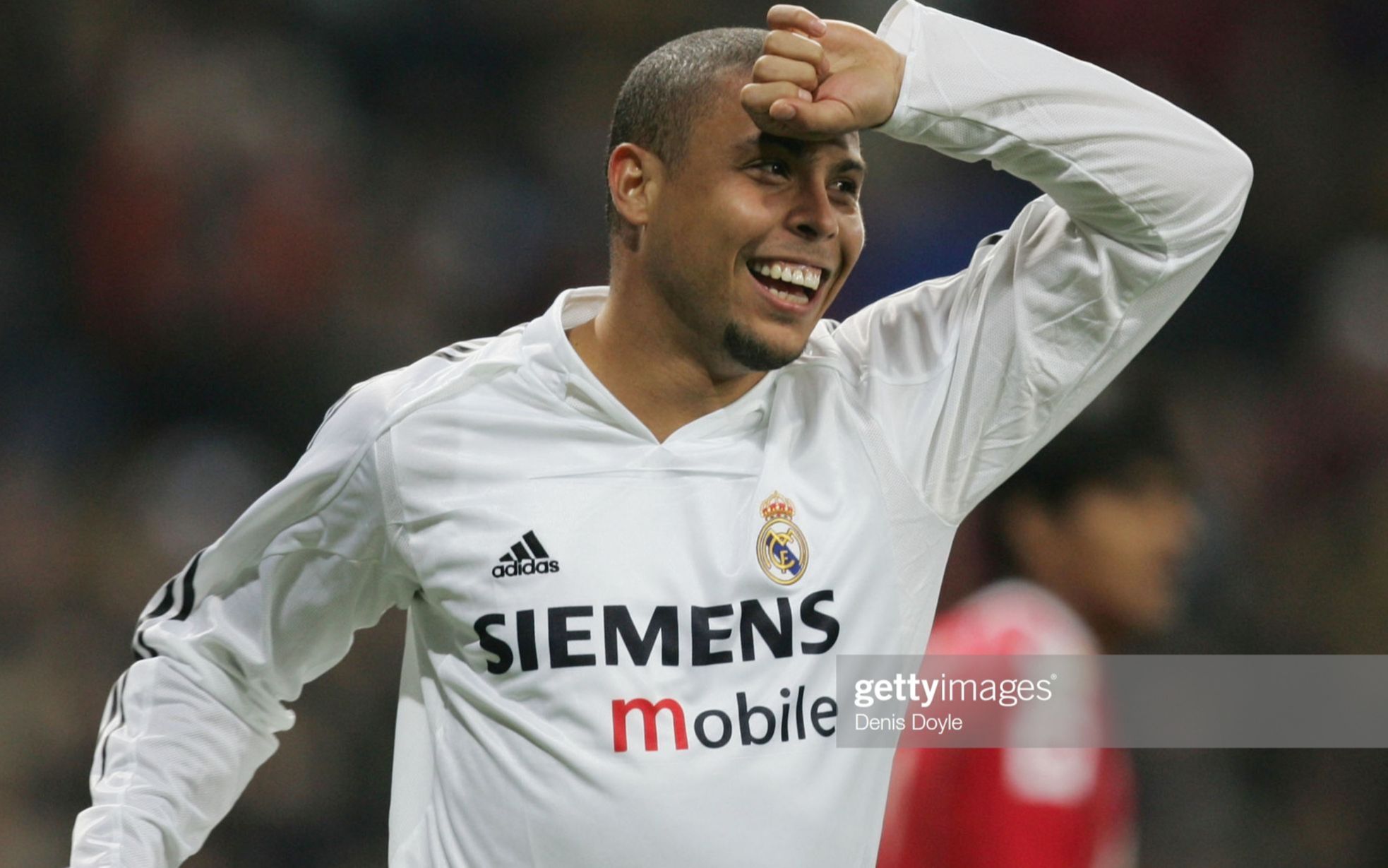 系可持续 系可持续