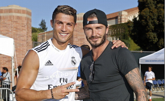 联盟格局立 联盟格局立